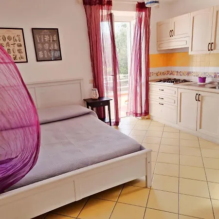 Maridea - Le Conchiglie Ponza