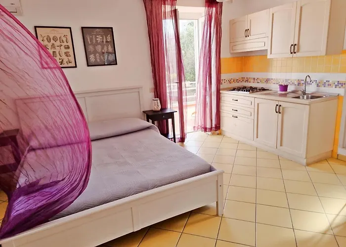 Maridea - Le Conchiglie Ponza