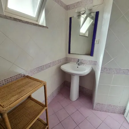 Maridea - Le Conchiglie Ponza